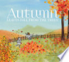 Autumn___leaves_fall_from_the_trees_