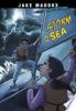 Storm_on_the_sea
