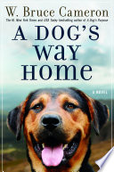 A dog's way home