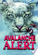Avalanche_alert