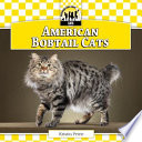 American_bobtail_cats