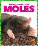 Animal_Architects__Moles