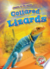 Collared_lizards