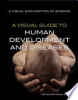 A_visual_guide_to_human_development_and_diseases