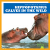 Hippopotamus_calves_in_the_wild