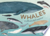 Whales___an_illustrated_celebration